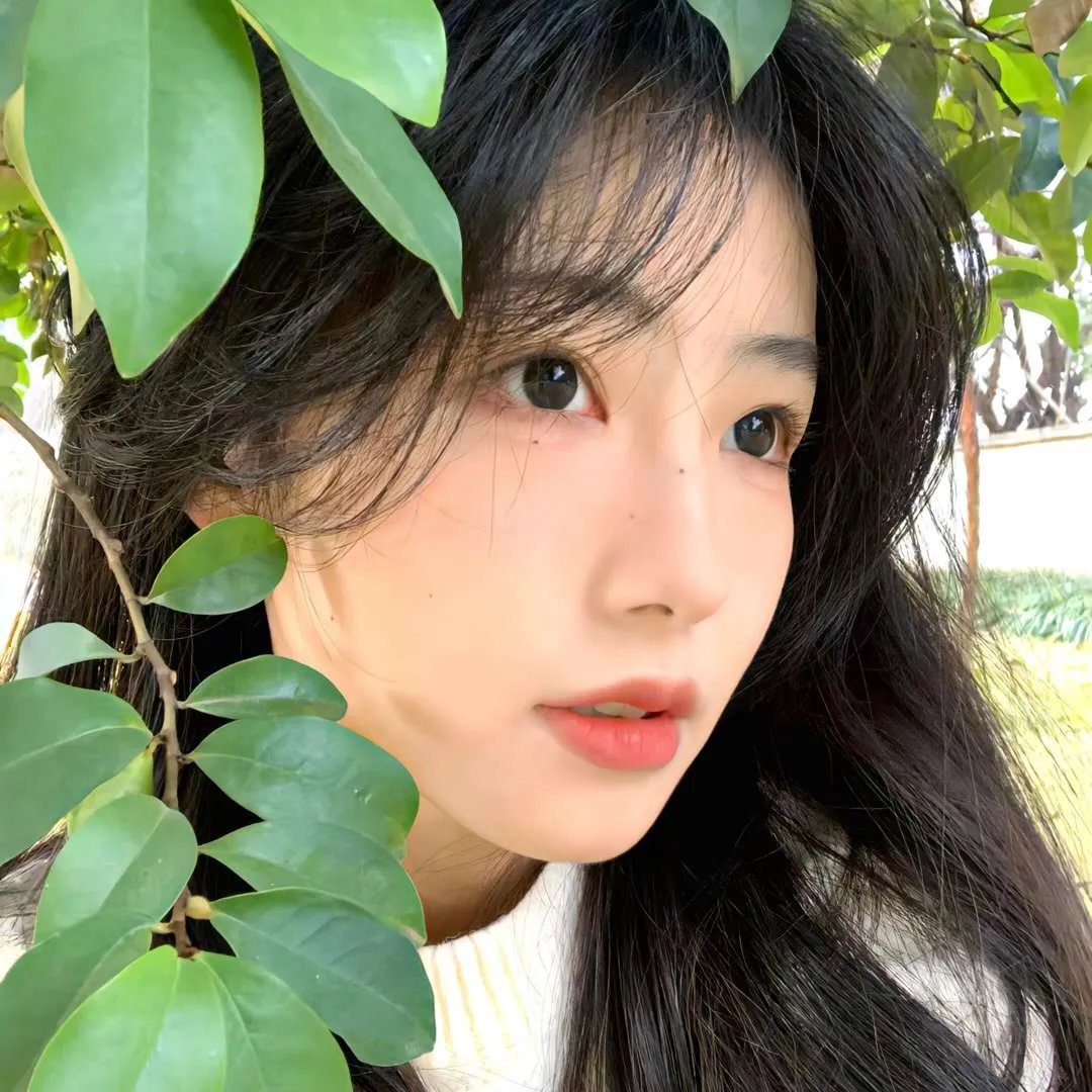 鱼与猫